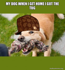 Scumbag dog
