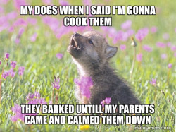 Baby Insanity Wolf