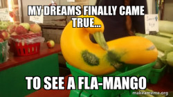 fla-mango is real