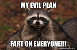 Evil Plotting Raccoon