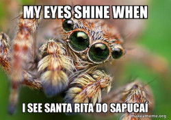 Hipster Spider