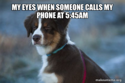 Unsure Dog