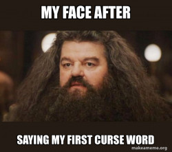 Hagrid - I should not have said that