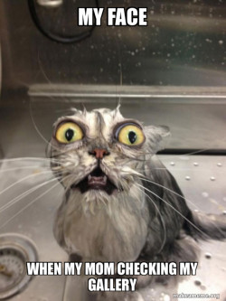 Cat bath
