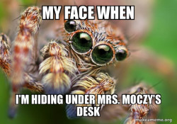 Hipster Spider
