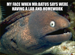 Bad Joke Eel
