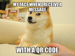 Doge