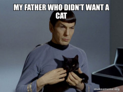 Spock and Cat Meme