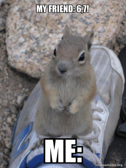 Standover Squirrel