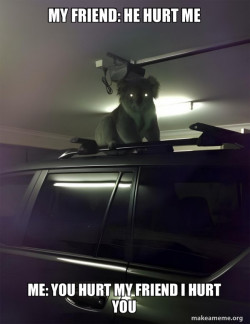 Drop Bear