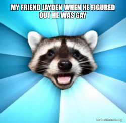 Lame Pun Coon