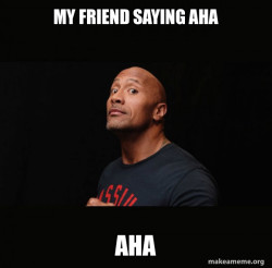 Dwayne Johnson (The Rock)