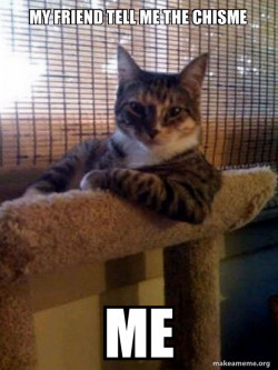 The Most Interesting Cat in the World