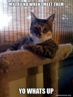 The Most Interesting Cat in the World