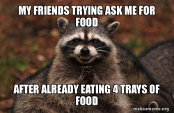 Evil Plotting Raccoon