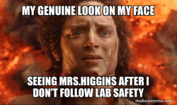 Frodo it's over it's done