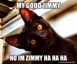 Overly Attached Cat