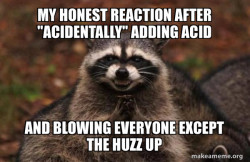Evil Plotting Raccoon