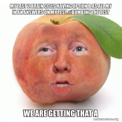 Impeached Donald Trump