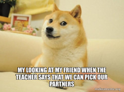 Doge