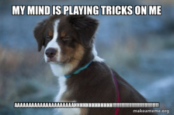 Unsure Dog