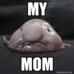 Blobfish