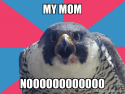 Millennial Falcon