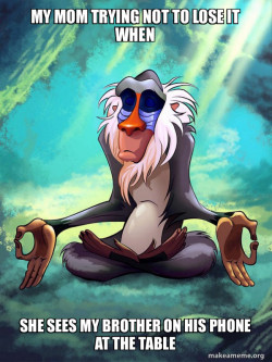 Rafiki Meditating - Lion King