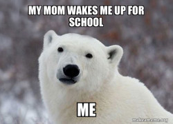Popular Opinion Polar Bear