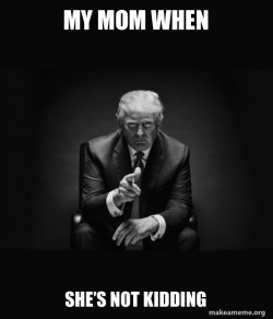 Trump Sitting In Chair - I Am In Their Way