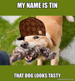 Scumbag dog