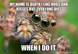 Hipster Spider