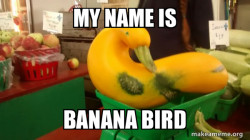 Gourd Advice Mallard