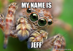 Hipster Spider