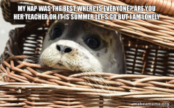 Impending Doom Seal