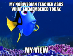 Dory from Nemo  (5 second memory)
