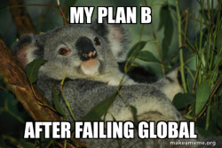 Laid Back Koala