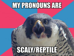 Millennial Falcon