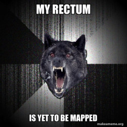 Insanity Wolf
