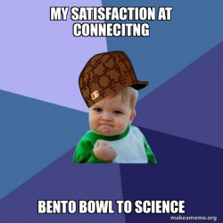 Scumbag Success Kid