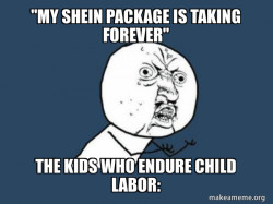 Y U No