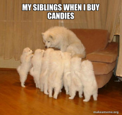 Storytelling Dog