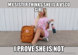 VSCO Girl