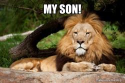 Contemplative Lion