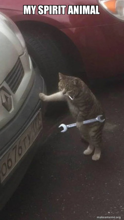 Mechanic Cat