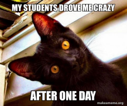 Overly Attached Cat