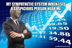 Meme 2