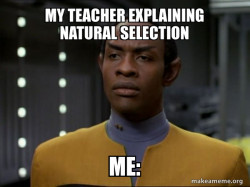 Skeptical Vulcan