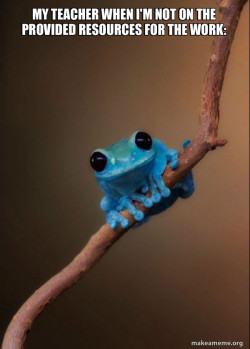 Small Fact Frog