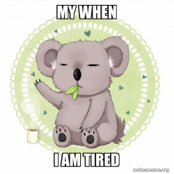 Aussie Koala doing the night shift